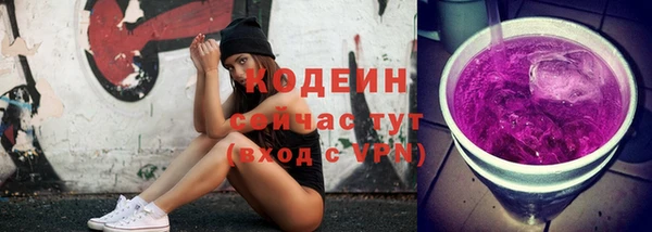 дурь Нестеровская