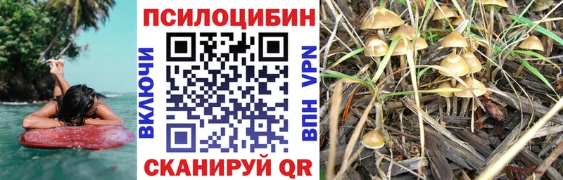 Псилоцибиновые грибы GOLDEN TEACHER  Кемерово 
