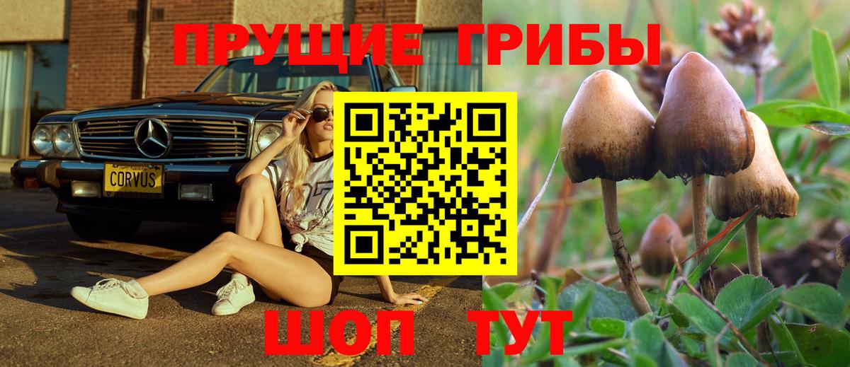 Псилоцибиновые грибы мухоморы Кемерово